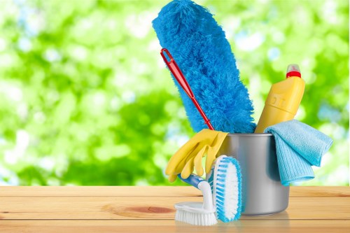 Cleaning tools and products for effective house cleaning
