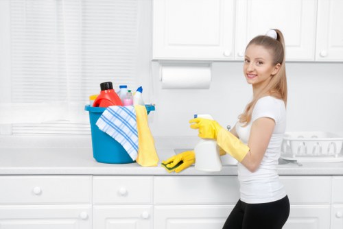 Professional window cleaning on a bright home exterior