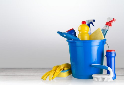 Professional move out cleaning tools and supplies ready for use