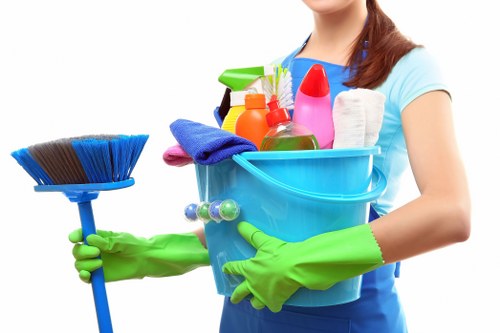 Cleaning upholstery and carpets in a London living room