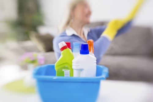 Borough-aware recycling and sustainability service with separated waste streams