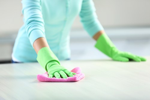 Professional Airbnb cleaning checklist and supplies