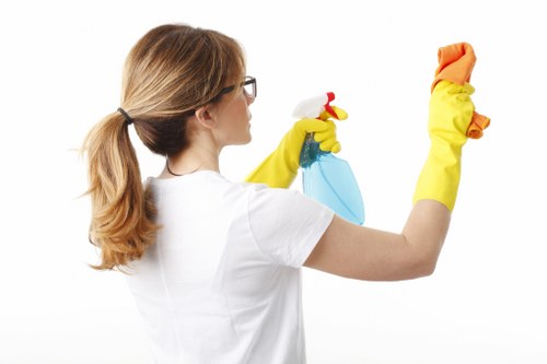 Bathroom domestic cleaning for hygiene and freshness
