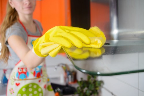 A simple house cleaning routine in progress