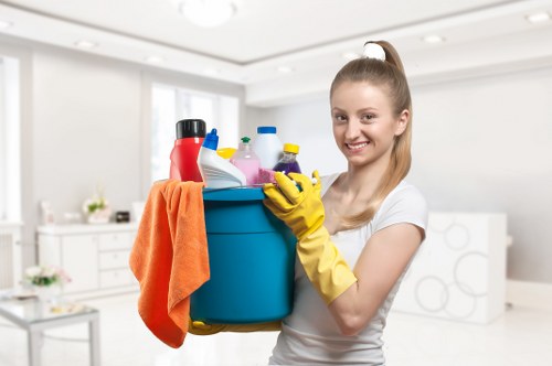 Steam and low-moisture rug cleaning equipment at work