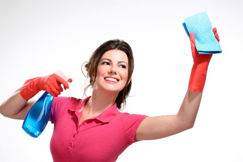 Different oven cleaning methods and tools arranged on a counter