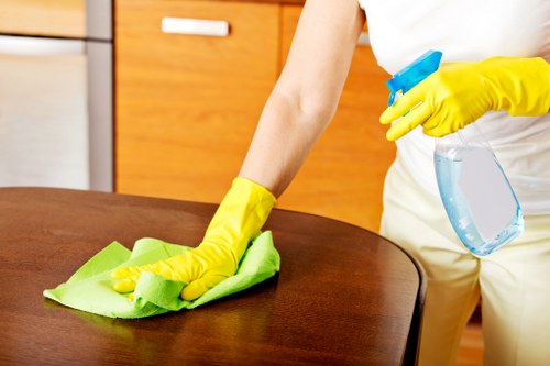 Cleaning team removing construction residue from windows and surfaces